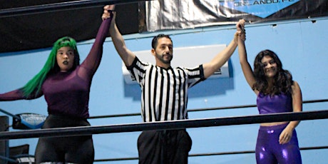 Image principale de Live Pro Wrestling