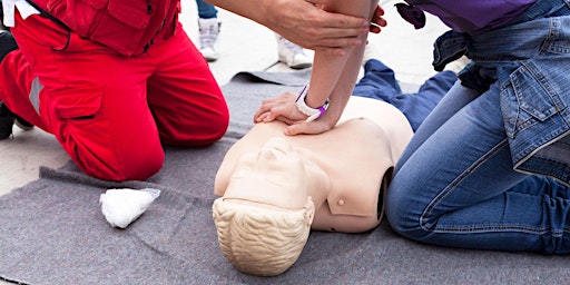 Imagen principal de American Heart Association Basic Life Support Course -2024