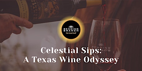 Celestial Sips: A Texas Wine Odyssey