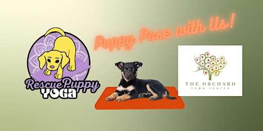 Immagine principale di Rescue Puppy Yoga at The Orchard Town Center! 