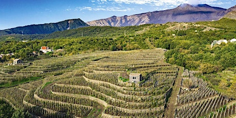 Hauptbild für VINcabulary : Sicily