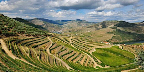 Hauptbild für VINcabulary : Portugal Beyond Port