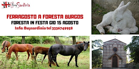 Immagine principale di FERRAGOSTO A FORESTA BURGOS: GIO 15 AGO 