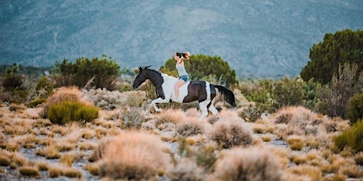 Equine Photography Workshop - Outdoor  -  Anabel DFlux - Los Angeles primary image