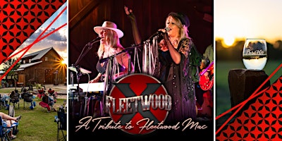 Hauptbild für Fleetwood Mac covered by Fleetwood X / Texas wine / Anna, TX