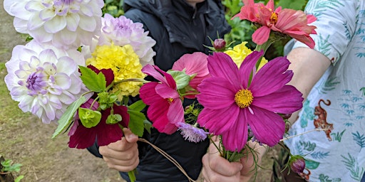 Imagem principal do evento Planting your cut flower garden