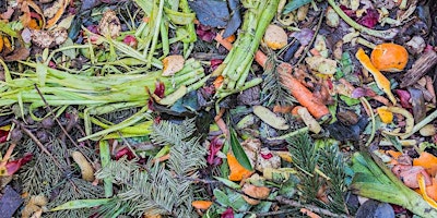 Immagine principale di Composting and Soil Fertility 