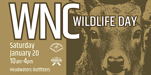 Imagem principal de WNC Wildlife Day