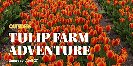 Tulip Farm Adventure