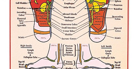 Reflexology student clinics primary image