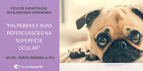 Imagem principal do evento Ciclo de Capacitação Oftalmologia Veterinária - Porto Ferreira