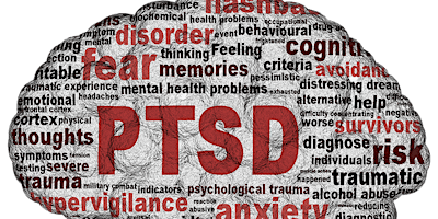 Imagen principal de 2024 Virtual therapy 4 PTSD/PTRS Disorders group workshop:10 attendees max