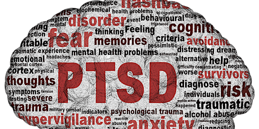 Hauptbild für 2024 Virtual therapy 4 PTSD/PTRS Disorders group workshop:10 attendees max