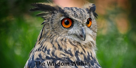 Primaire afbeelding van Philosophy of Wisdom and Meditation - Peterborough