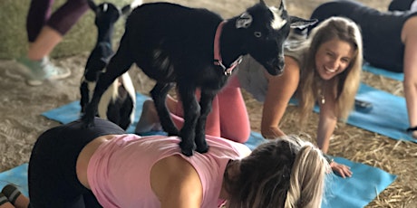 Imagem principal de Goat Yoga at Lucky Dog Farm - Wentzville, MO