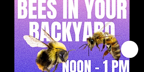 Bees in Your Backyard Lunch & Learn Webinar primary image