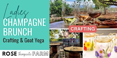 Imagem principal de Ladies Champagne Brunch, Crafting & Goat Yoga!