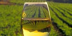 Chardonnay Masterclass primary image