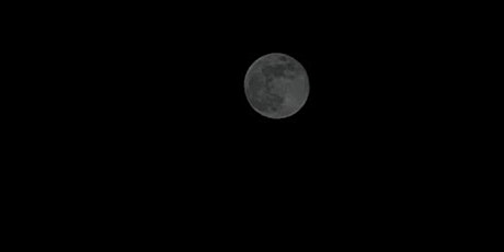 Full Moon Night Walk at Mason Mill Park primary image