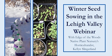 Image principale de Winter Seed Sowing in the Lehigh Valley on Zoom