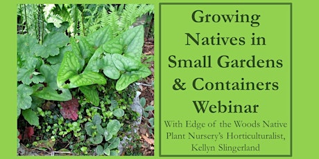 Native Gardens for Small Spaces Webinar! (Zoom!)
