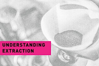 Coffee Tasting: Understanding Extraction primary image