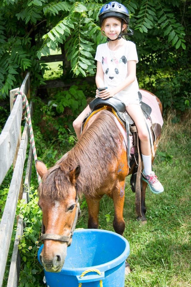 August 25 One Day Pony Class Ages 3 and up