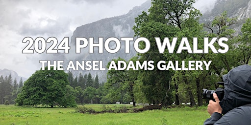 Hauptbild für FREE Ansel Adams Photo Walk - Tue and Thur @ 9 AM (2024)