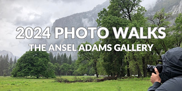FREE Ansel Adams Photo Walk - Tue and Thur @ 9 AM (2024)