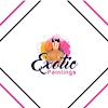 Logotipo da organização Exotic Paintings LLC