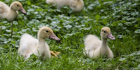 Kinder ganz leicht fotografieren mit Tipps einer Fotografin