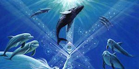 Hauptbild für The Multidimensional Consciousness of Whales and Dolphins
