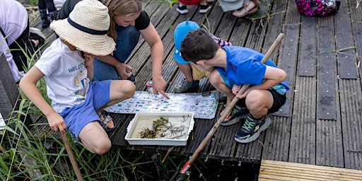 Pond Dipping at Leybourne Lakes 30th May