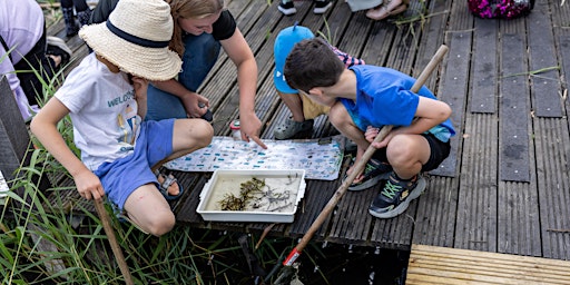 Pond Dipping at Leybourne Lakes 31st May  primärbild