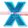 Logotipo da organização DIsco Excalibur Ybbs