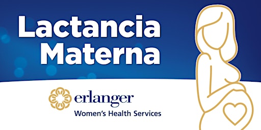 Hauptbild für Lactancia Materna (En Español) - Virtual