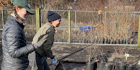 Hauptbild für Volunteer: KCD Native Plant Nursery