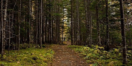 Grey  Owl Cabin  Trail Run primary image