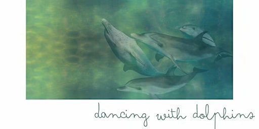 Dancing with Dolphins primary image