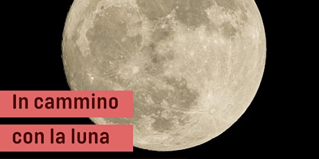 Immagine principale di In cammino con la luna 