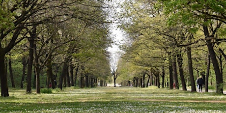 Immagine principale di Il Parco, ieri, oggi e domani 