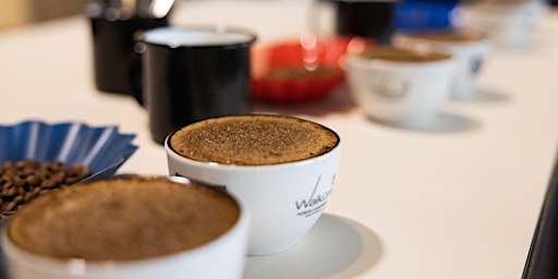 Hauptbild für COFFEE CUPPING  30.03.2024 - Tauche in die Geschmackswelt des Kaffees ab