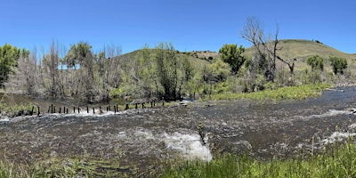 Imagem principal do evento Benefits of low-tech stream restoration