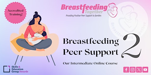Hauptbild für Breastfeeding Peer Support  2