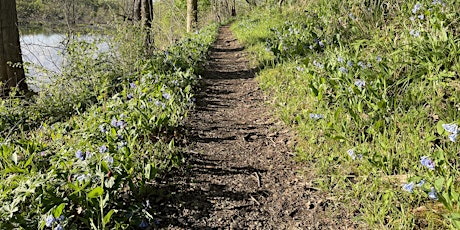 2024 Spring Nature Journaling-May