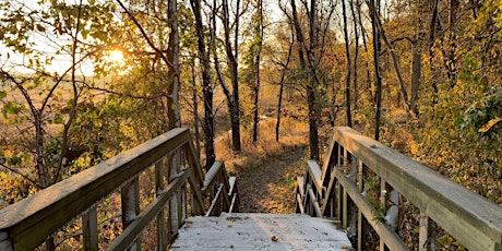 2024 Fall Nature Journaling-November