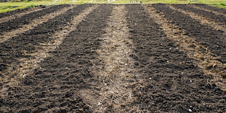 Bed Preparation & Soil Health Workshop primary image