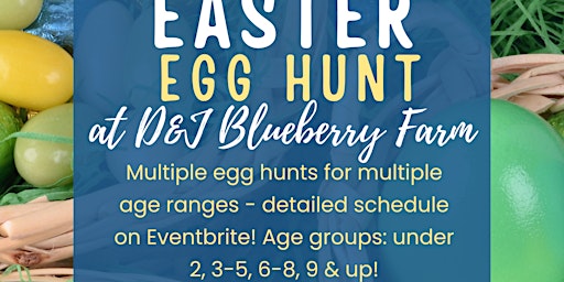 Primaire afbeelding van Easter Egg Hunt @ D & J Blueberry Farm