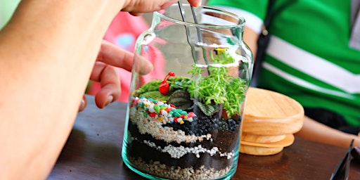 Make Your Own Closed Eco-System Terrarium - Art Class by Classpop!™ primary image
