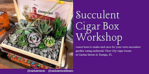Imagem principal do evento May 18: Succulent Saturday: Cigar Box Planter Workshop